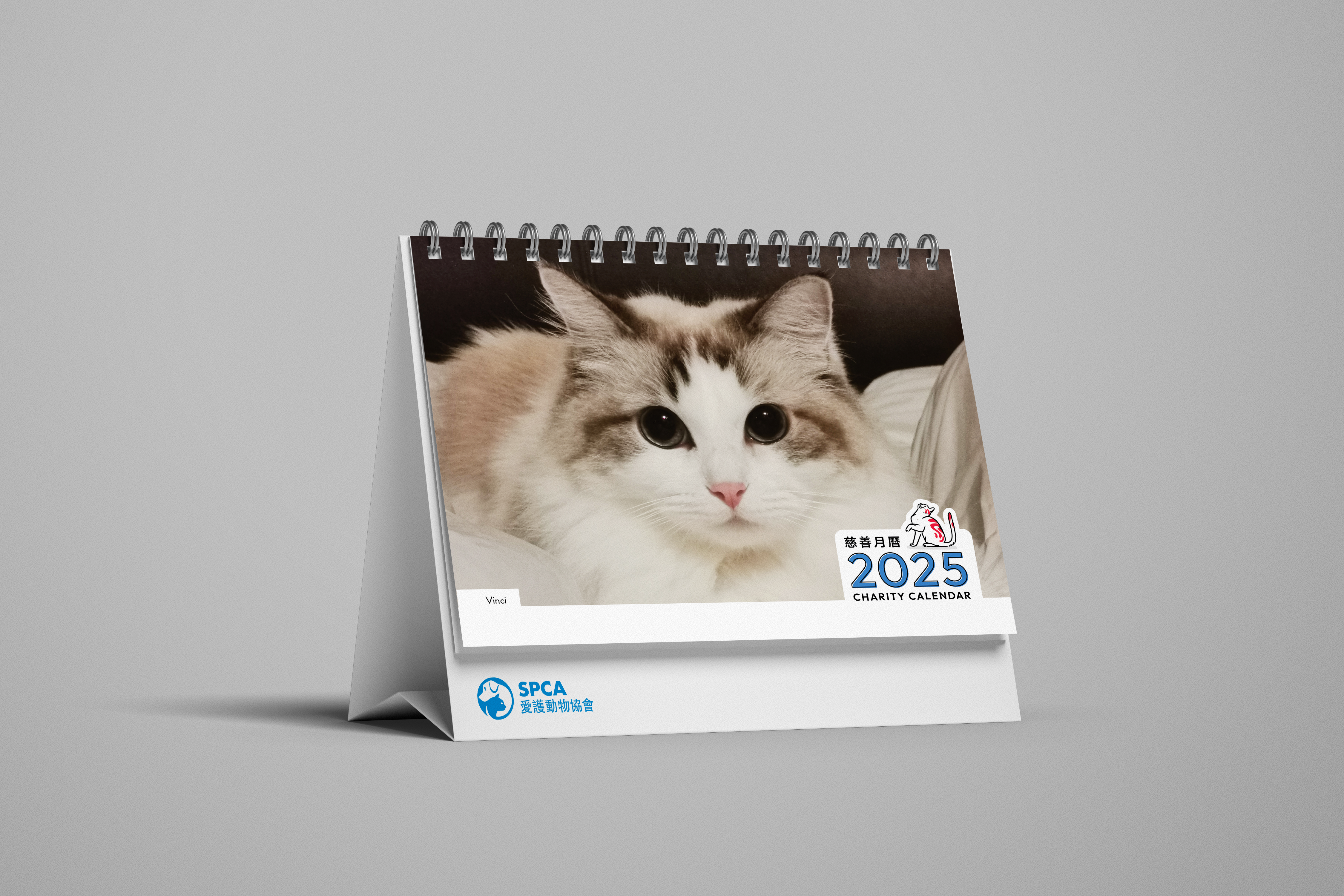 SPCA 貓貓座枱週曆 2025