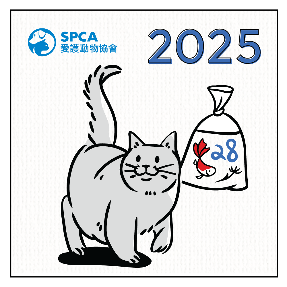 SPCA Cat Monthly Wall Calendar 2025
