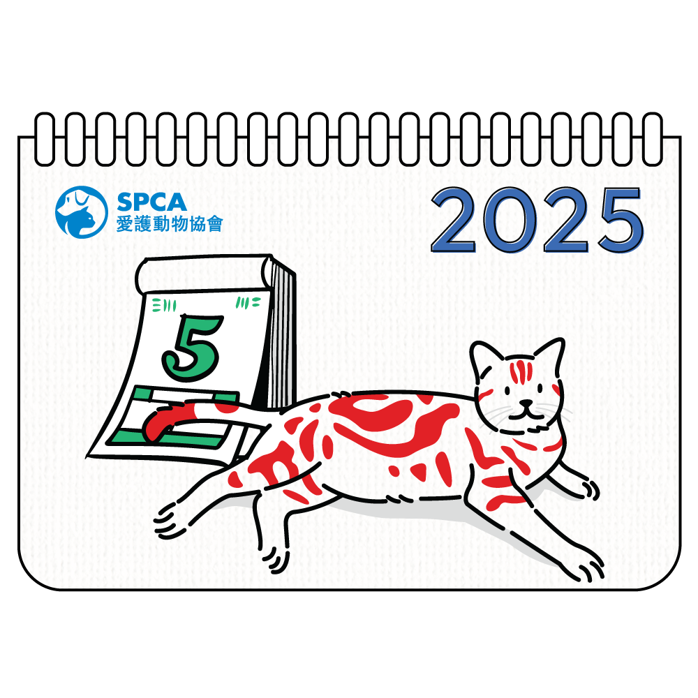 SPCA Cat Weekly Desk Calendar 2025