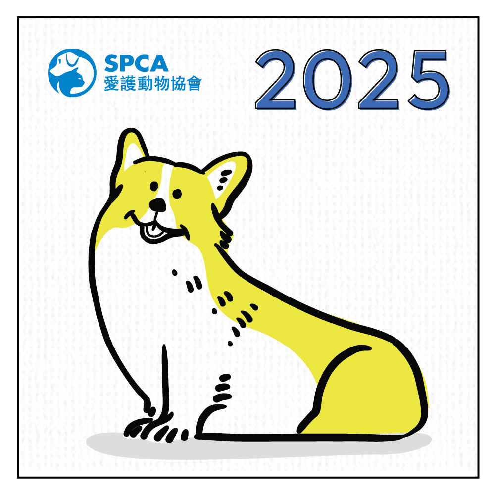SPCA Dog Monthly Wall Calendar 2025
