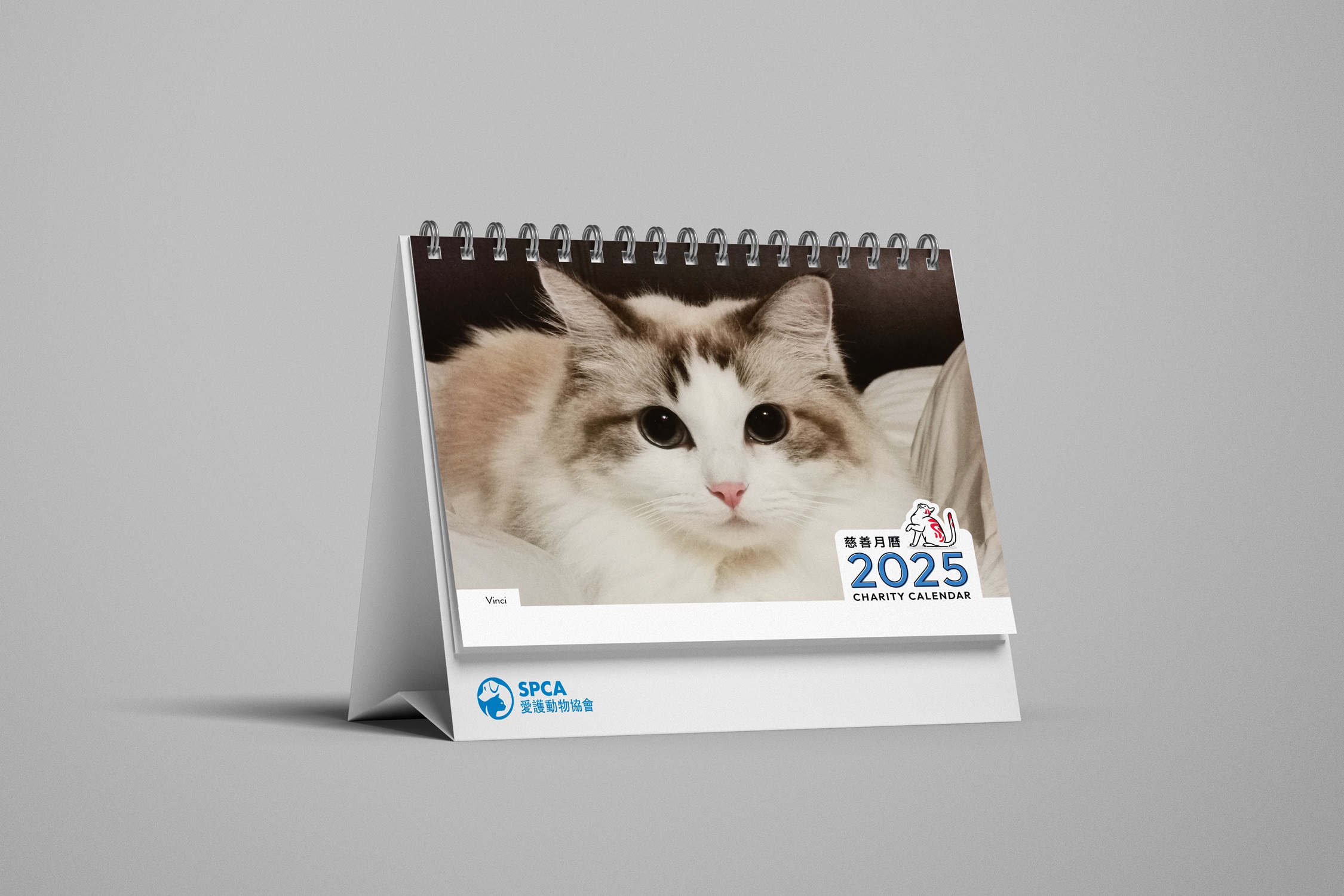 SPCA Cat Weekly Desk Calendar 2026