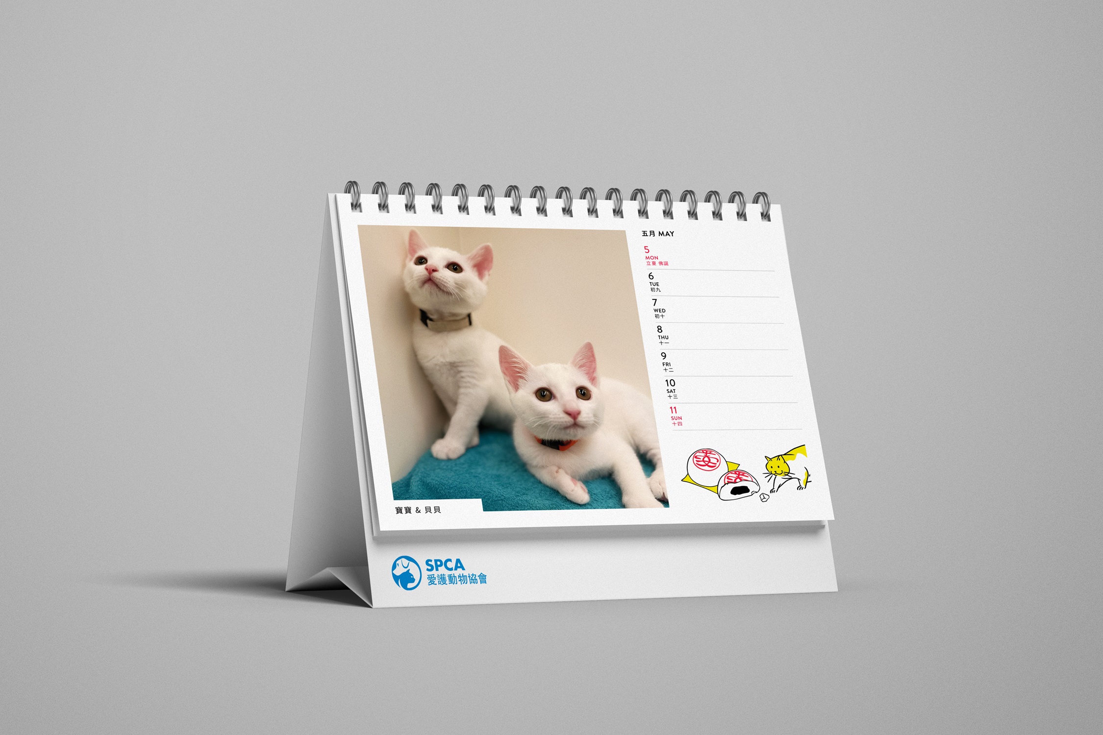 SPCA Cat Weekly Desk Calendar 2026