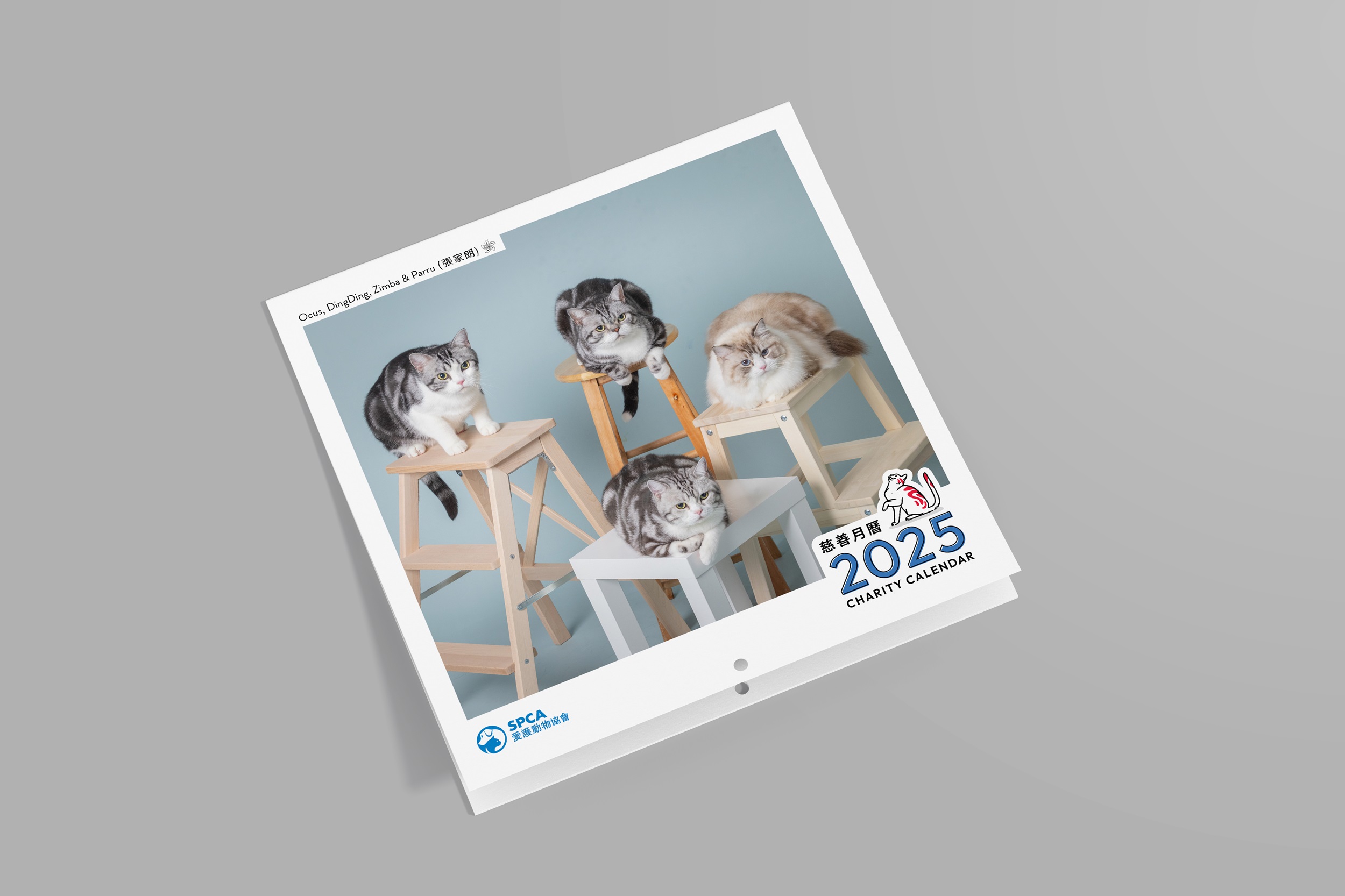 SPCA Cat Monthly Wall Calendar 2026