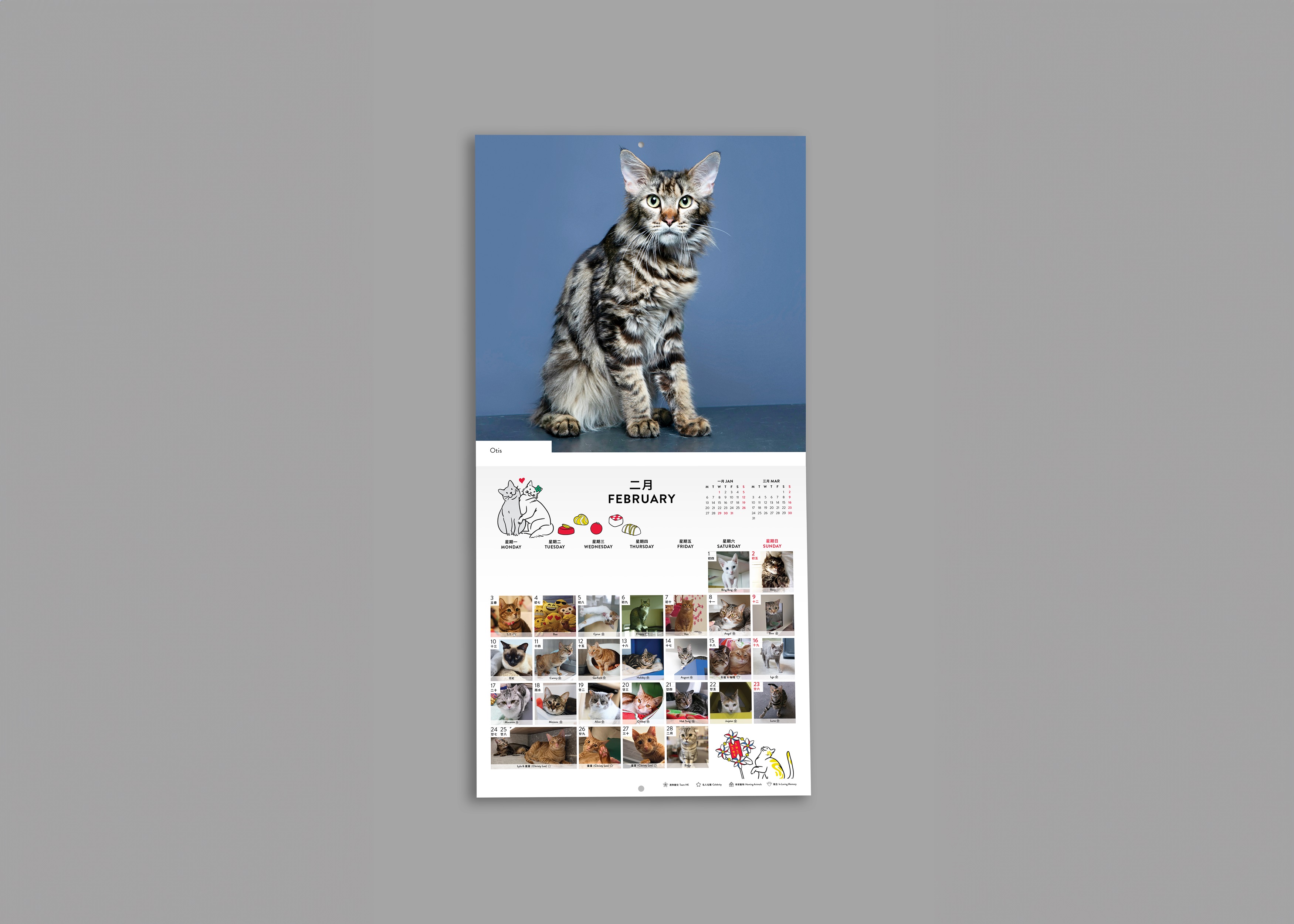 SPCA Cat Monthly Wall Calendar 2026