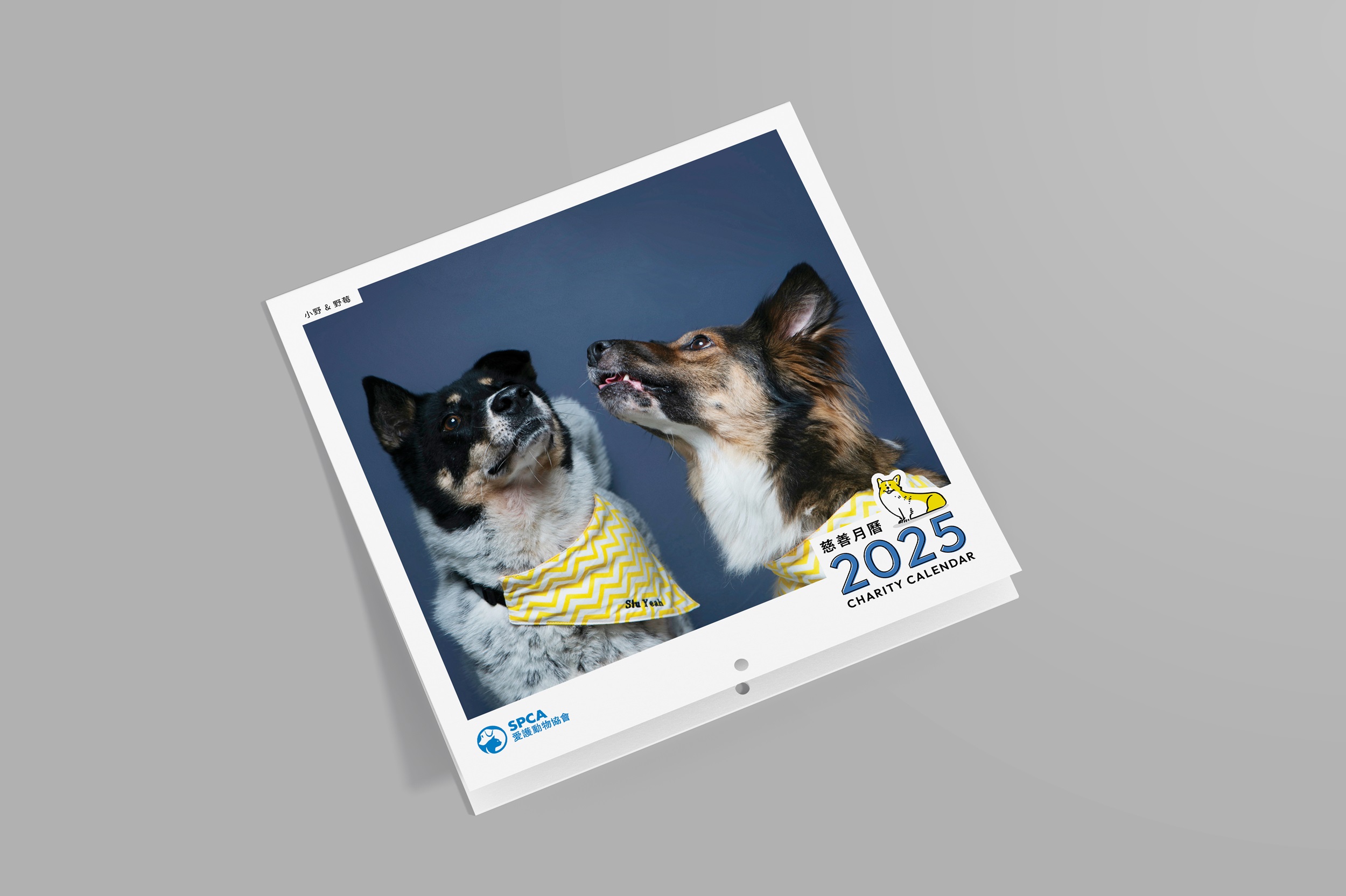 SPCA Dog Monthly Wall Calendar