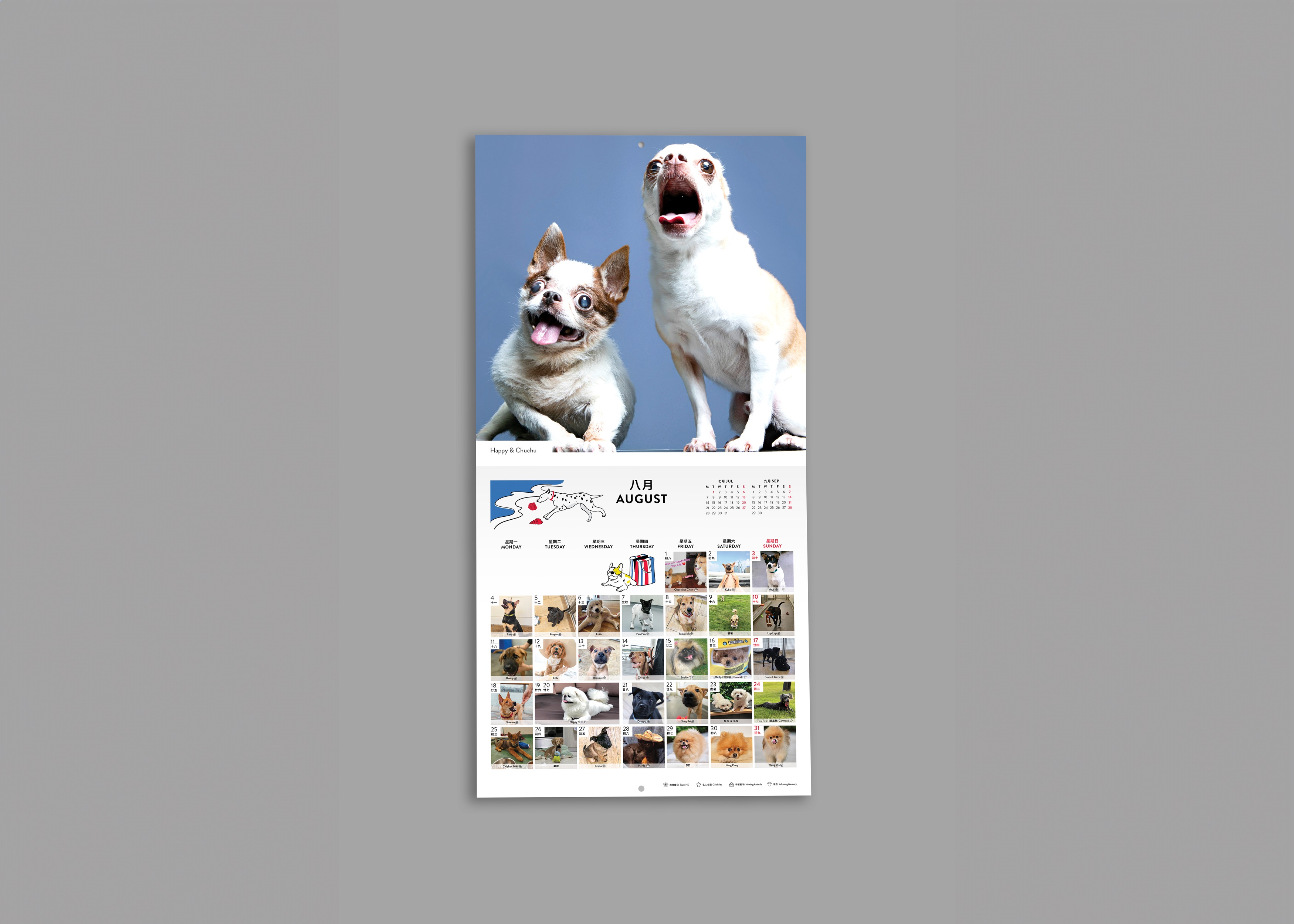 SPCA Dog Monthly Wall Calendar 2026