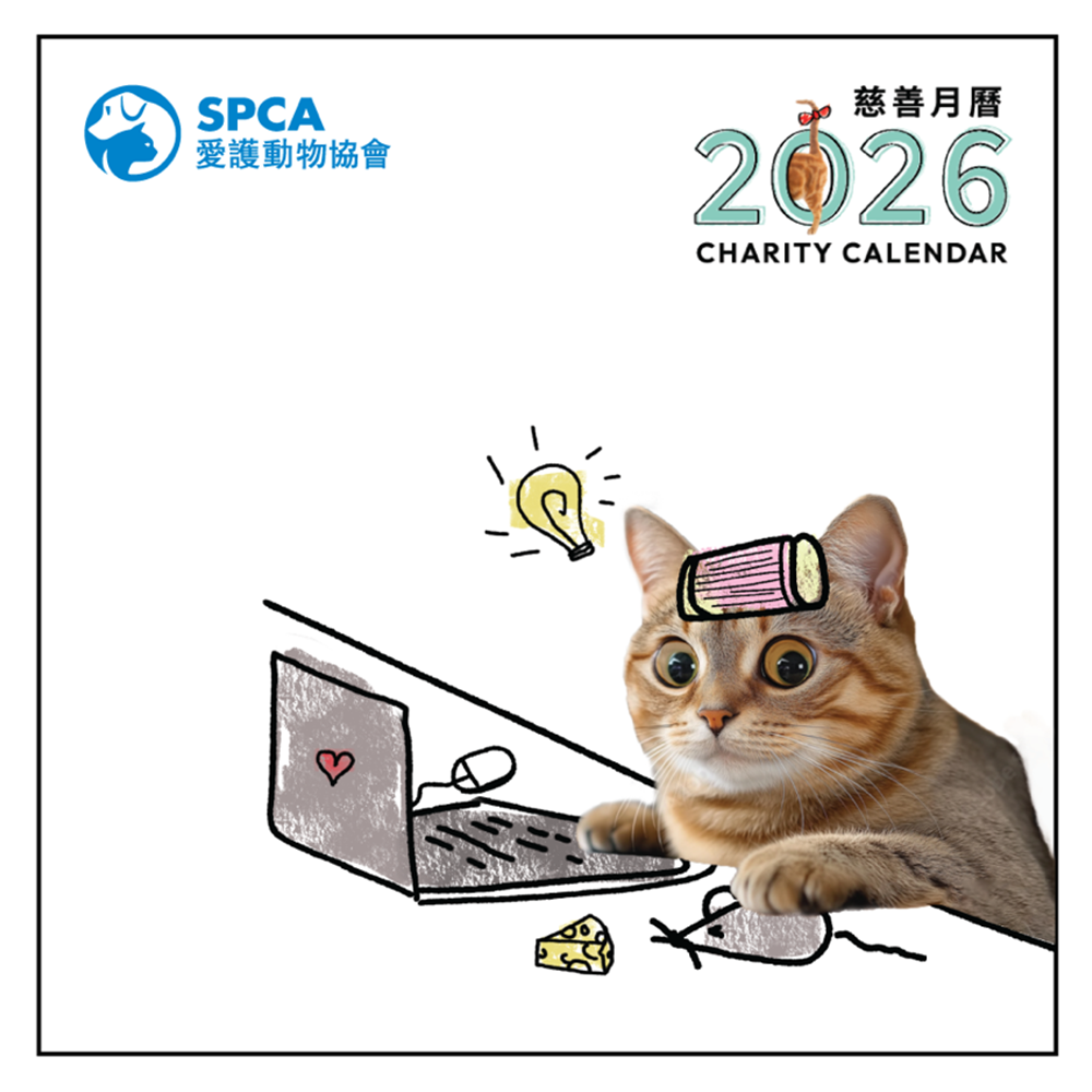 SPCA Cat Monthly Wall Calendar 2026