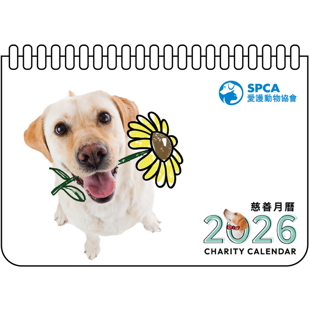SPCA Dog Weekly Desk Calendar 2026