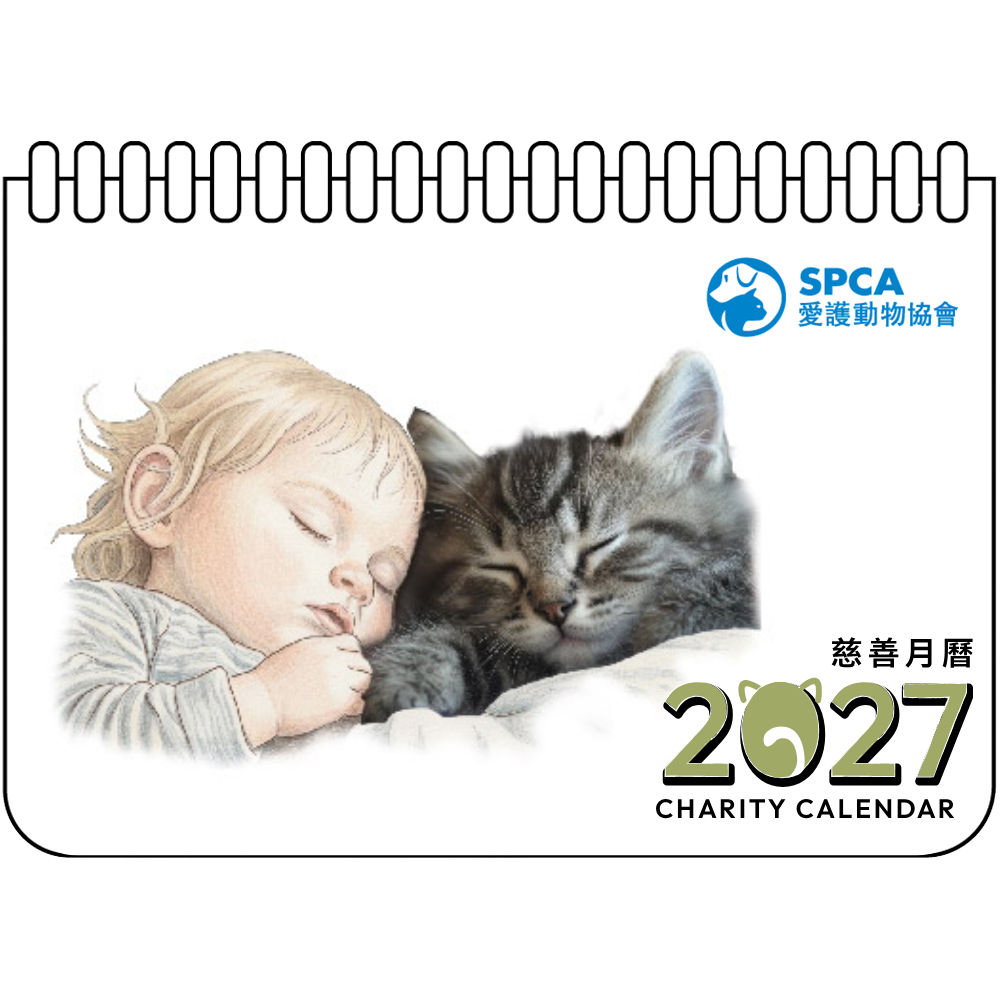 SPCA Cat Weekly Desk Calendar 2025