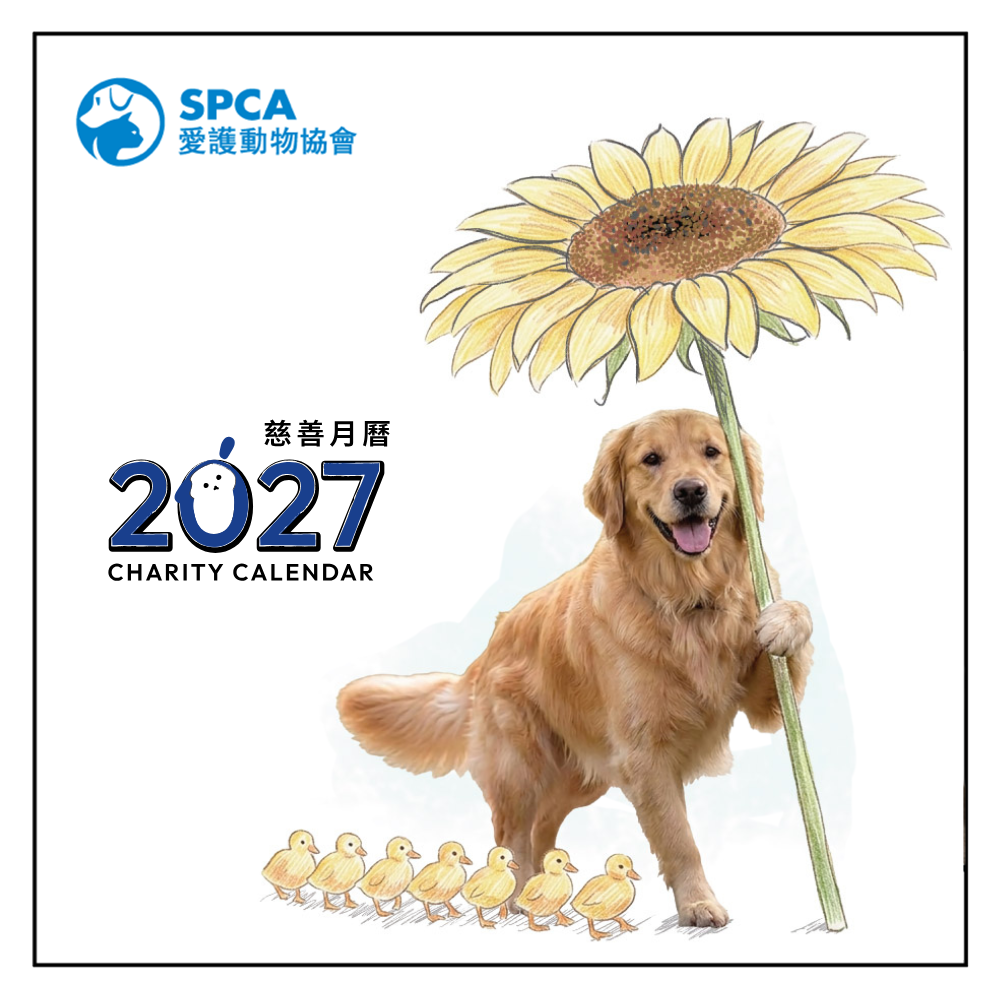 SPCA Dog Monthly Wall Calendar 2025