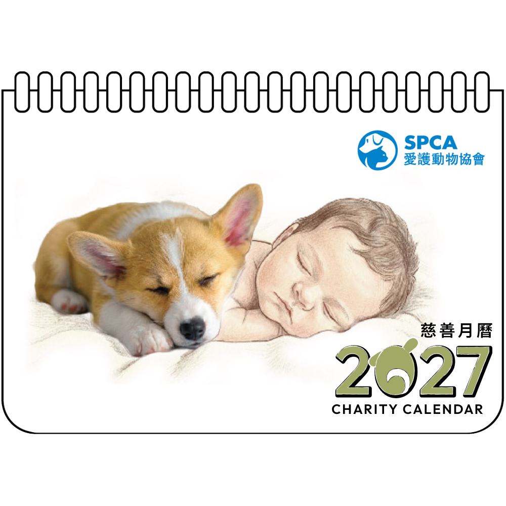 SPCA Dog Weekly Desk Calendar 2025